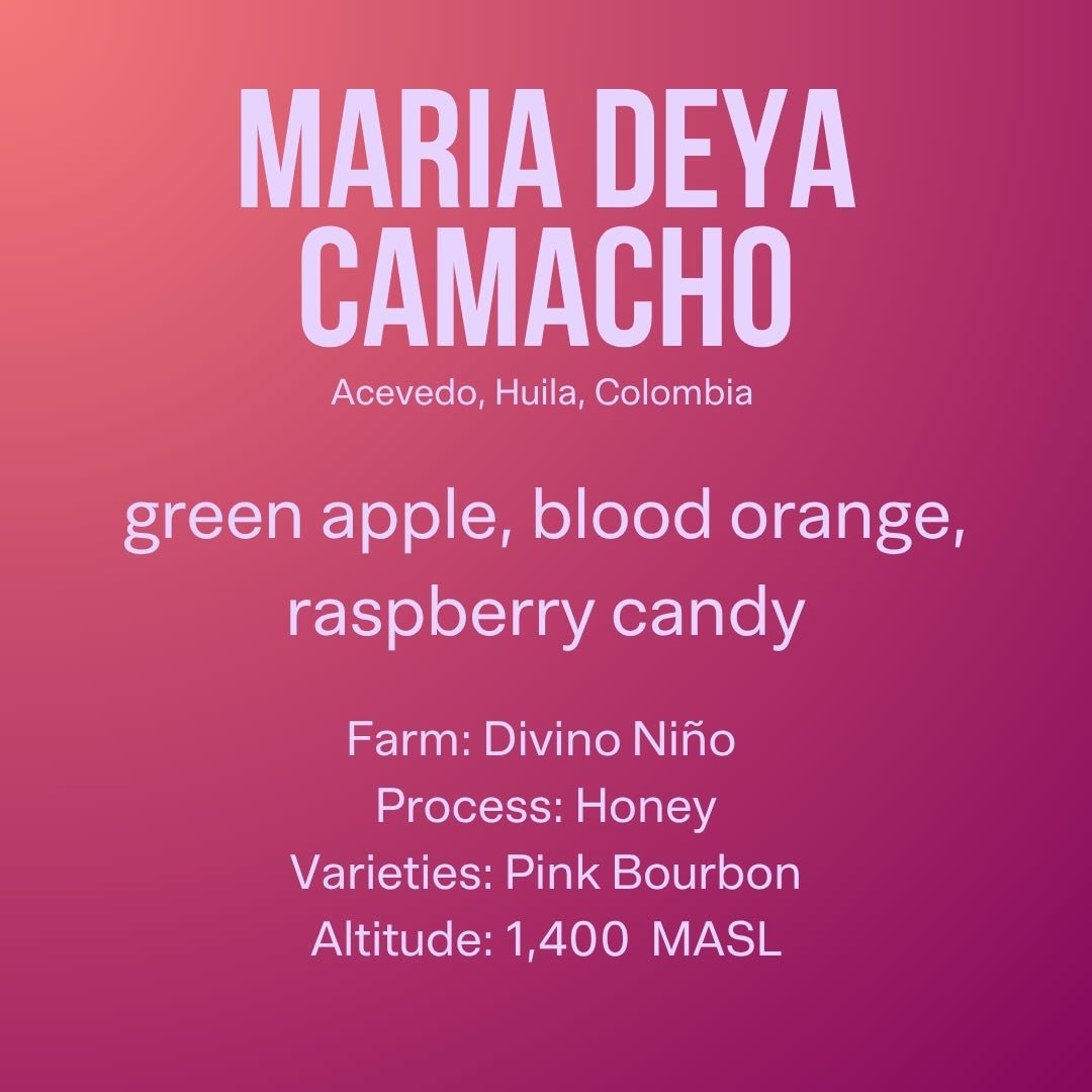 María Deya Camacho, Pink Bourbon Honey, Condor Huila Graduation Auction First Place Winner- Colombia