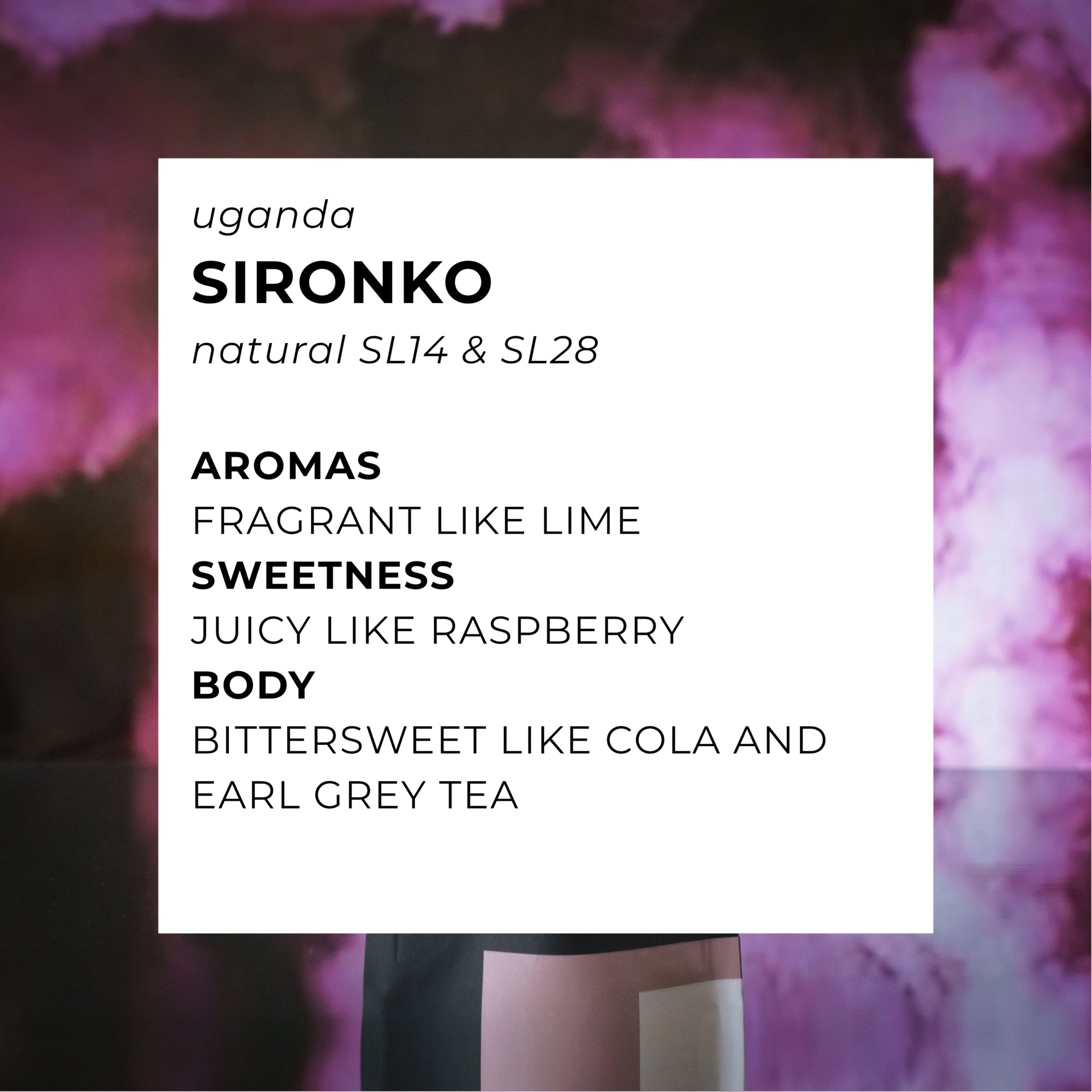 Sironko