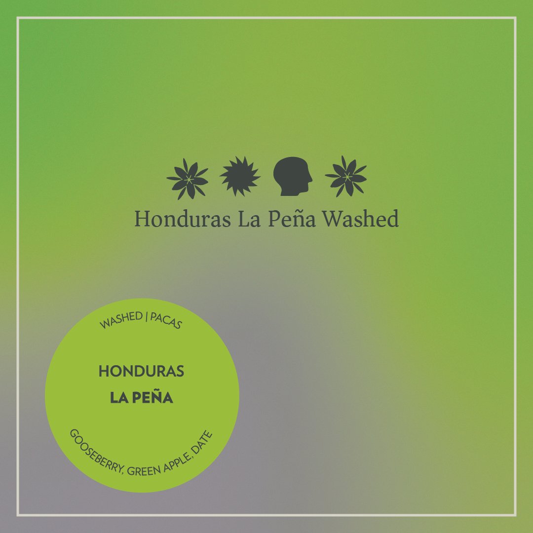 Honduras - La Peña - Washed Pacas