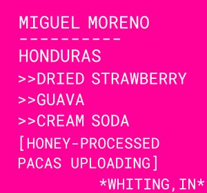 Miguel Moreno