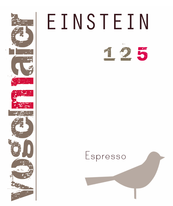 Einstein 125