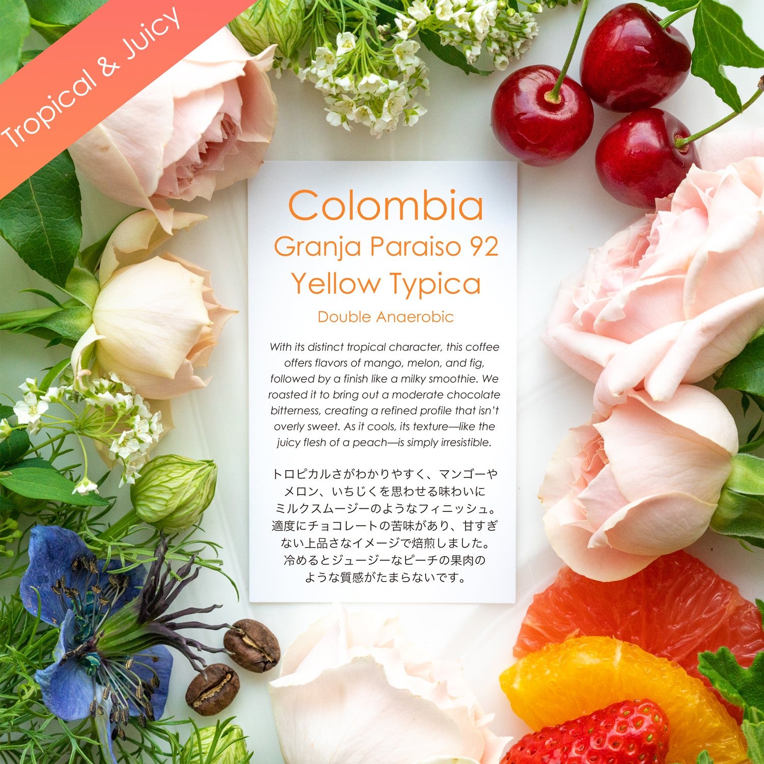 Granja Paraiso 92 Yellow Typica【トロピカル&ジューシー】