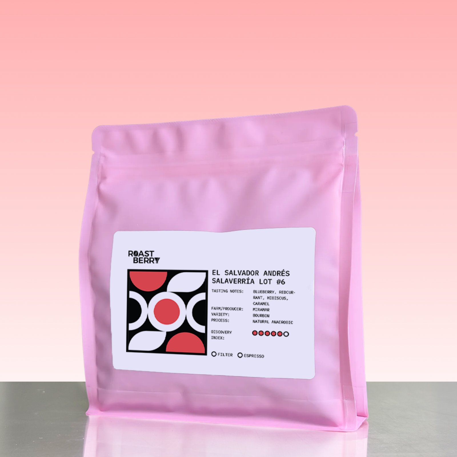 El Salvador Andrés Salaverría Lot #6 Filter 250G