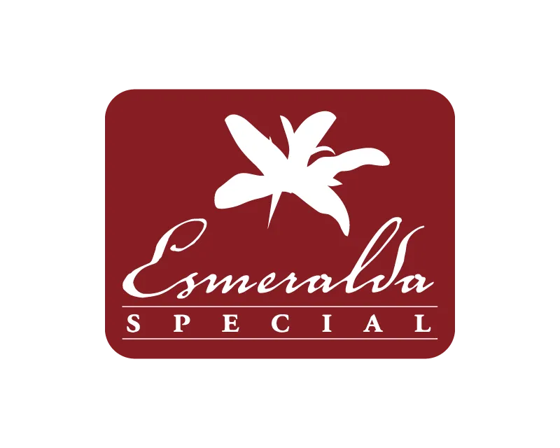 Aged Panama Geisha Natural Vintage 2022-Hacienda La Esmeralda