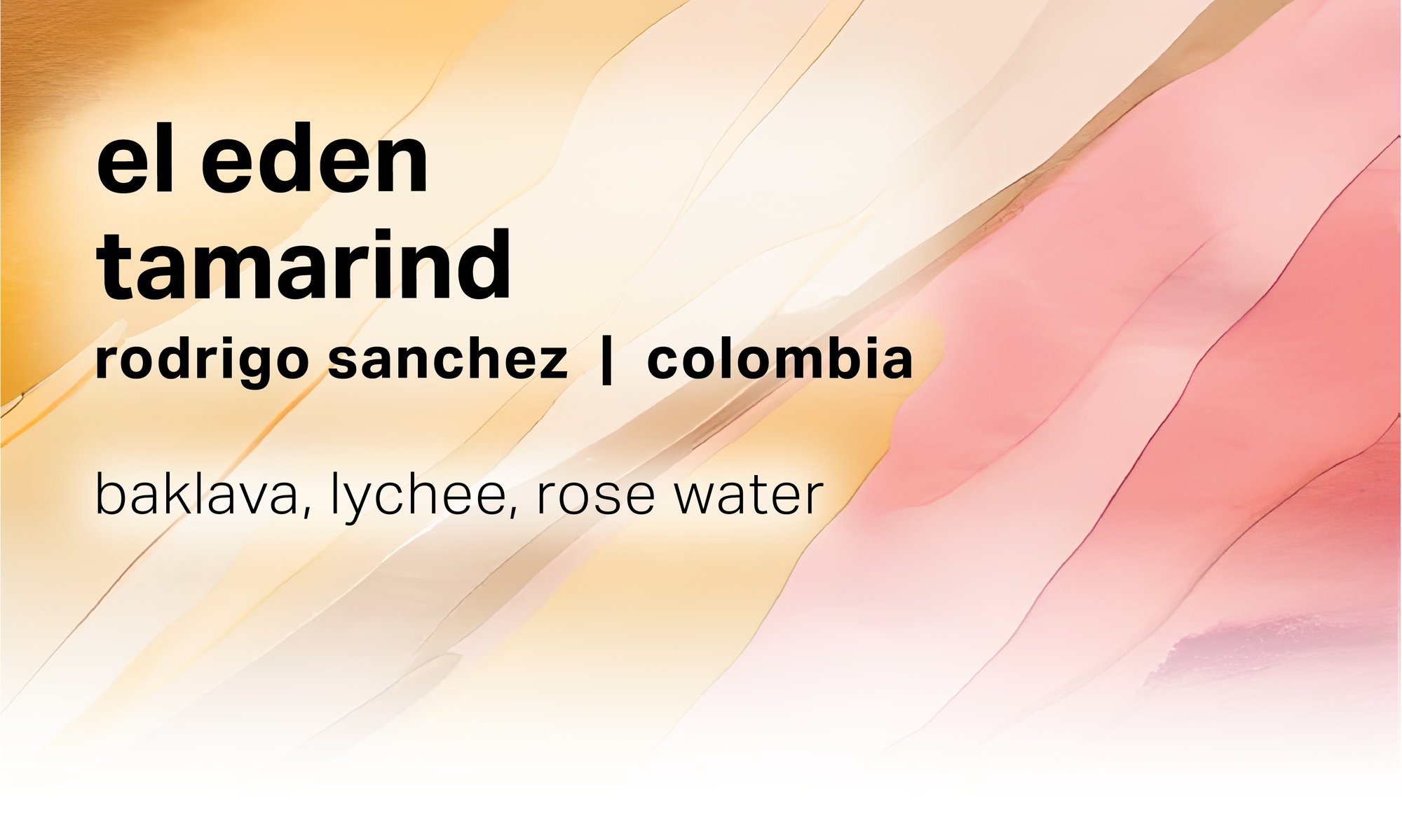 Rodrigo Sanchez El Eden - Tamarind Washed Purple Caturra Bourbon - Colombia
