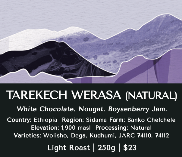 Tarekech Werasa (Natural) - Ethiopia