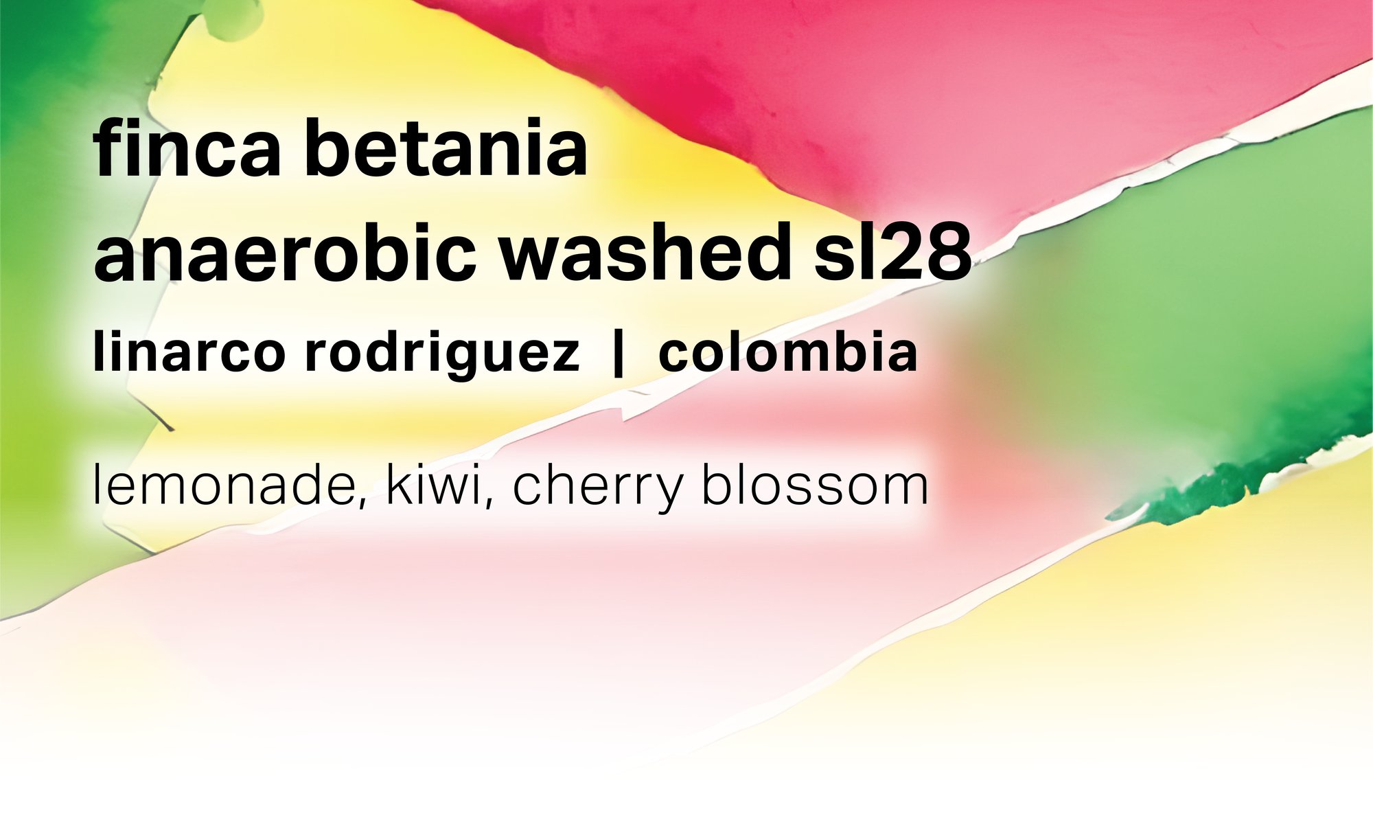 Linarco Rodriguez Finca Betania - Anaerobic Washed SL28 - Colombia