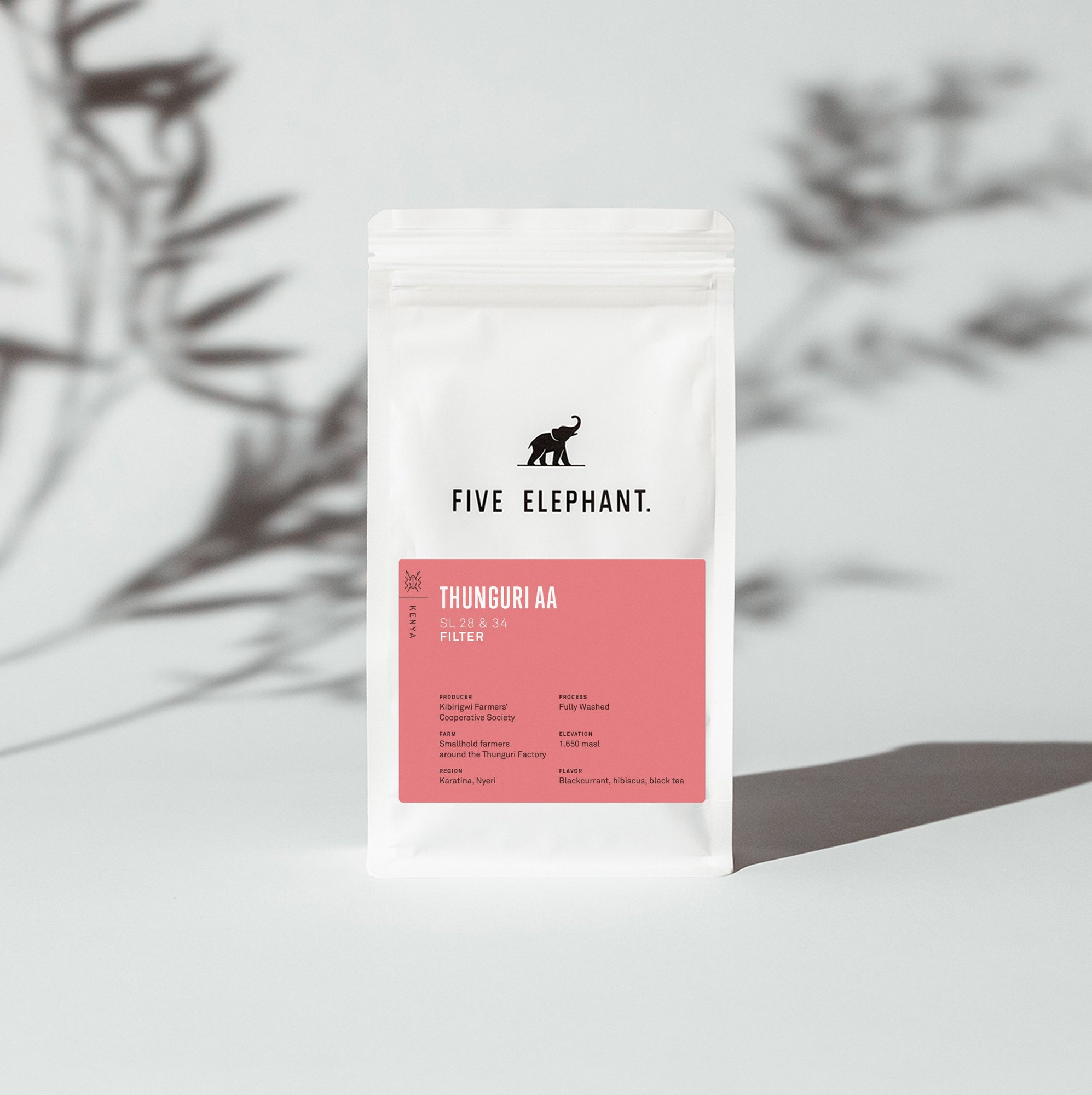 KENYA Thunguri AA - Filter