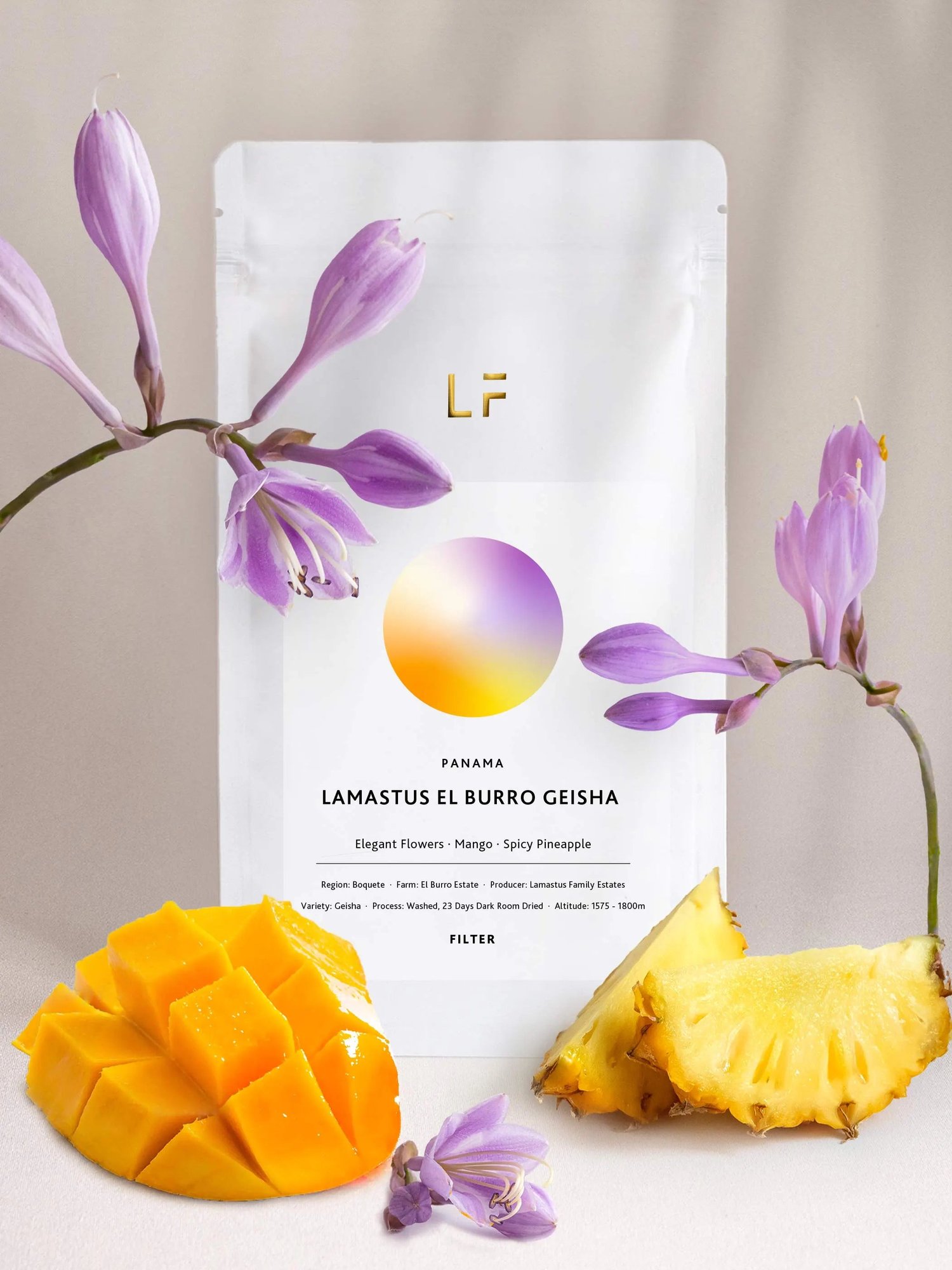 El Burro Geisha · Lamastus