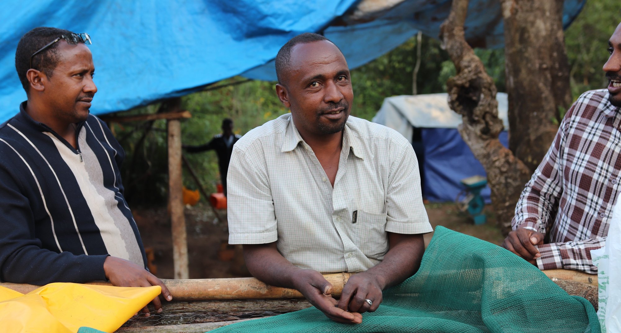 Ethiopia Mustefa Abakeno Washed