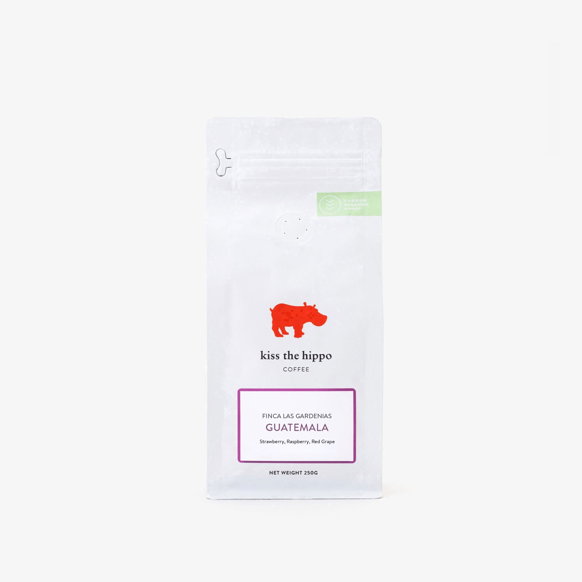 Guatemala, Finca Las Gardenias
