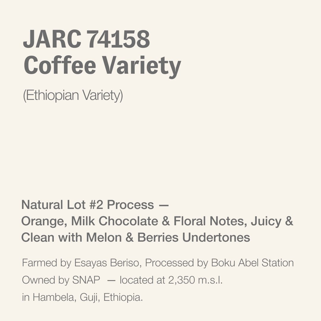 JARC 74158 (Ethiopian coffee variety), Esayas Beriso, Boku, Hambela, Guji, Ethiopia Ethiopia