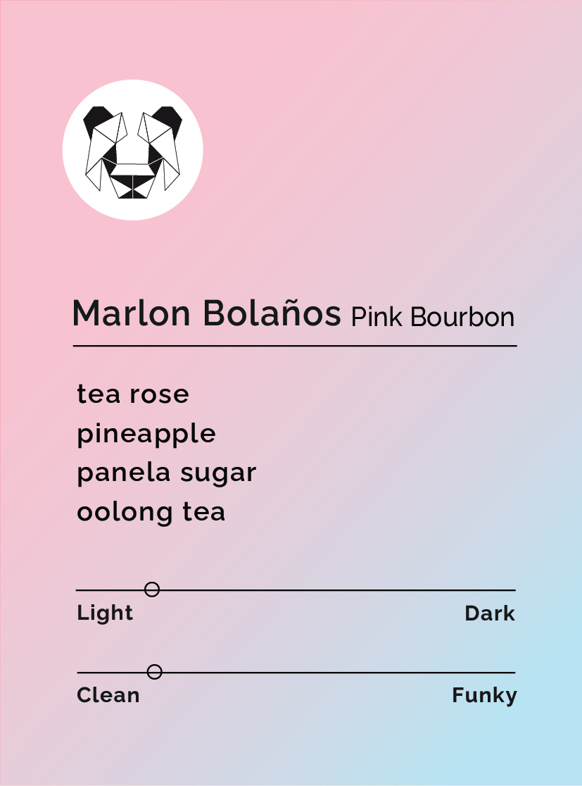 Marlon Bolaños - Pink Bourbon