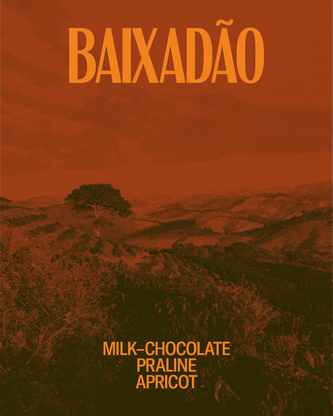 Baixadão