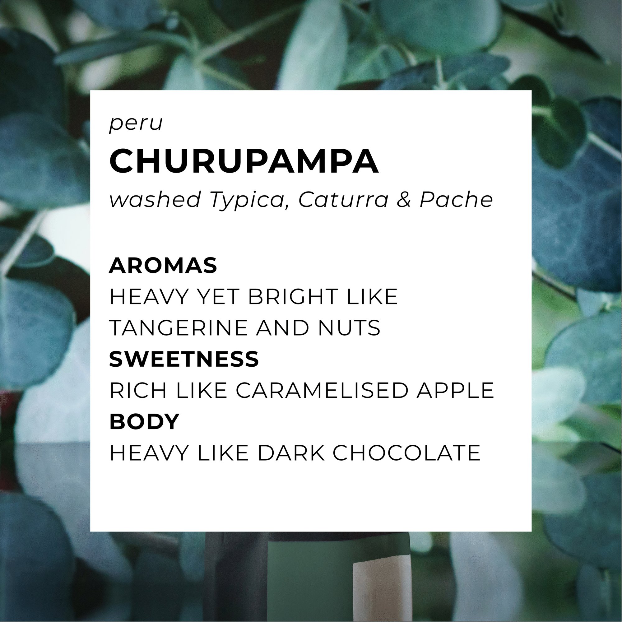 Churupampa