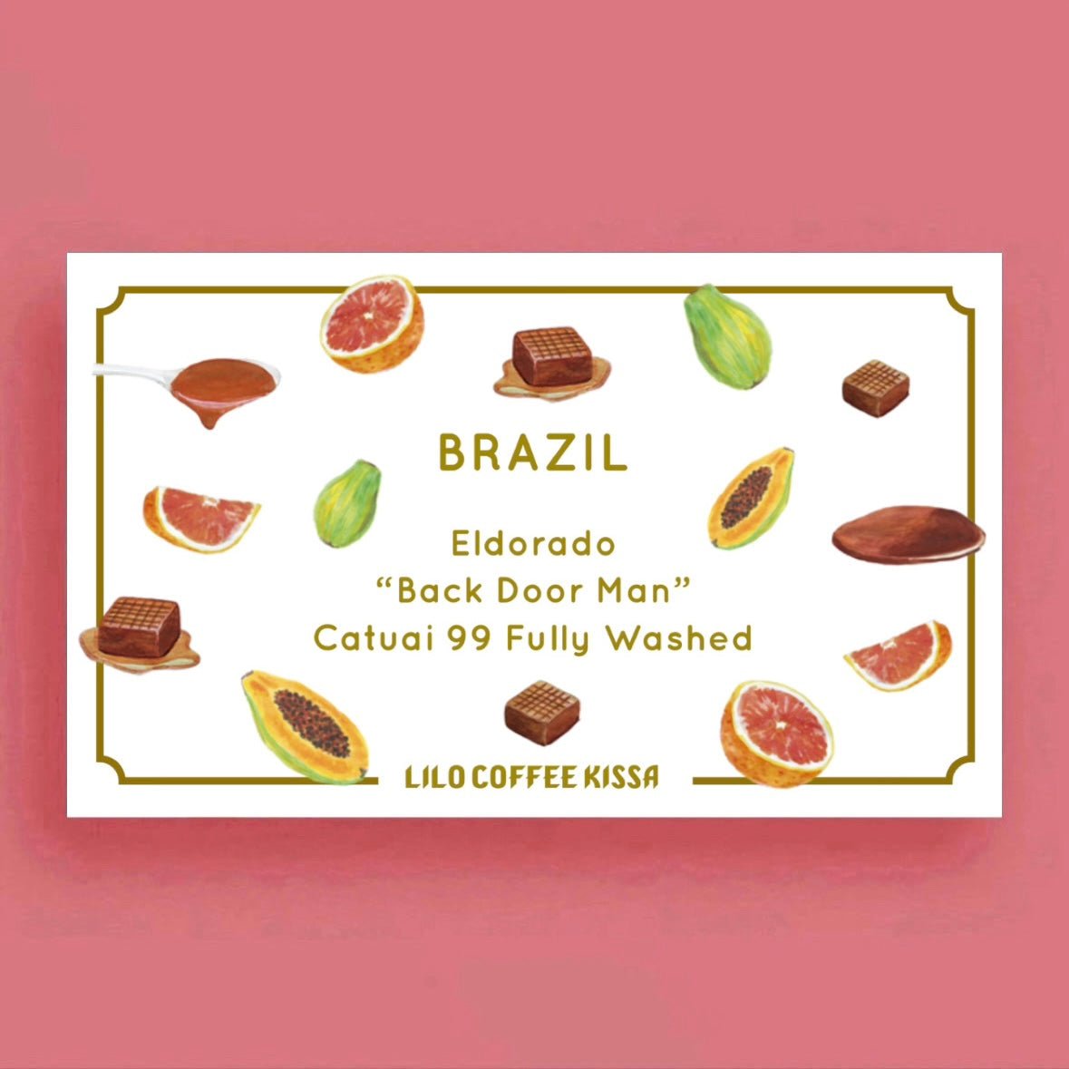 BRAZIL Eldorado "Back Door Man" Catuai 99 Fully Washed