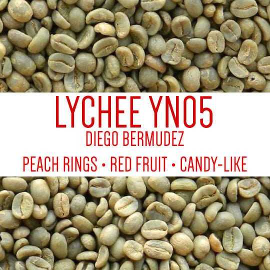 Lychee YN05 Diego Bermudez Finca El Paraiso Cauca, Colombia Green Beans