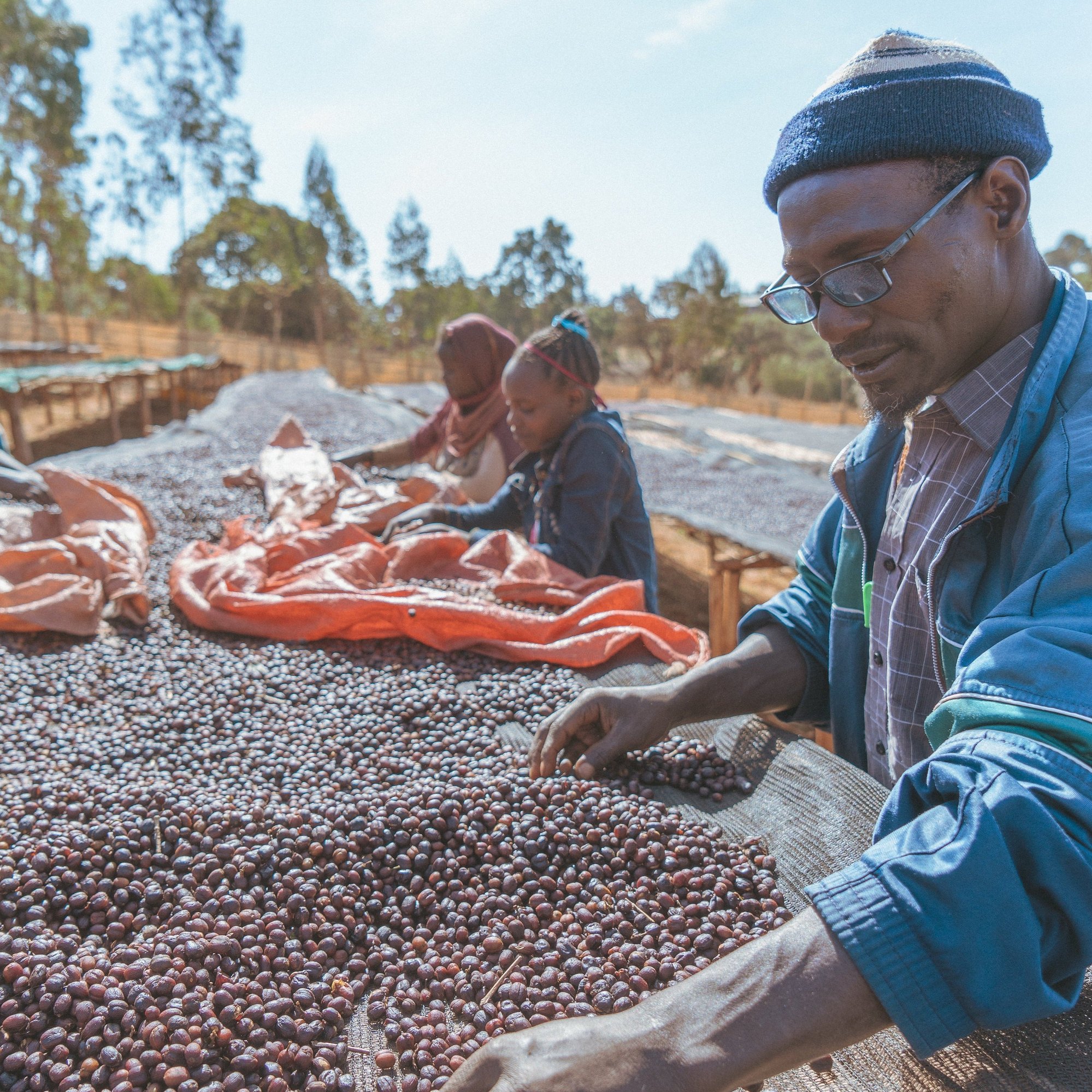 ’Ethiopia Moplaco