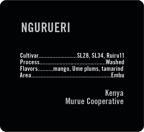 Ngurueri