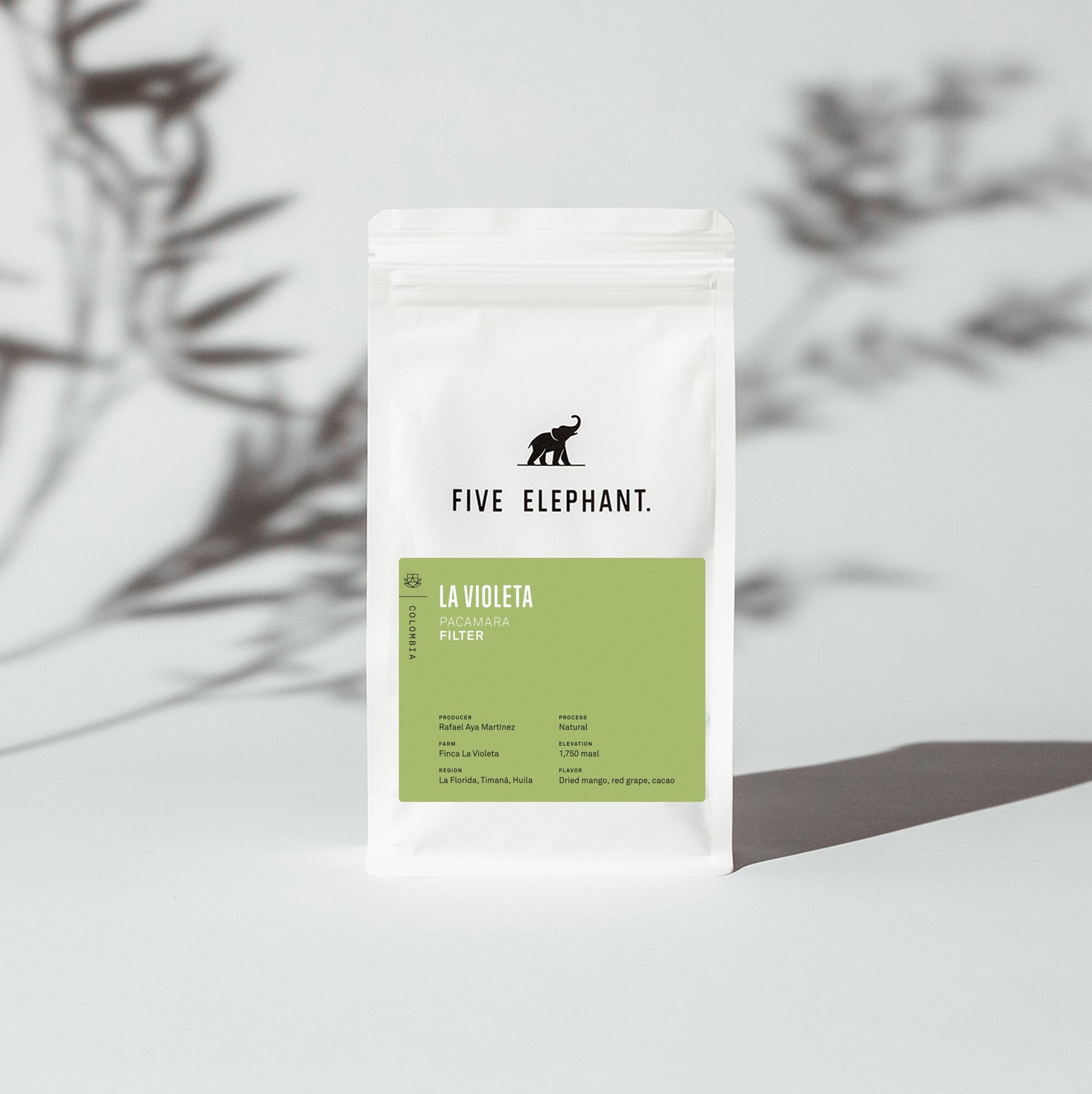 Colombia La Violeta Pacamara