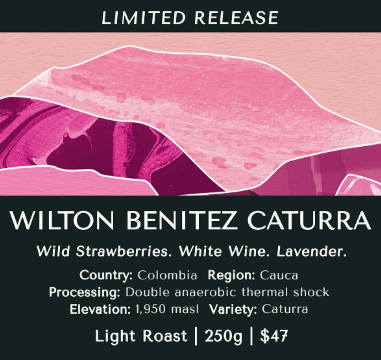 Wilton Benitez - Caturra - Colombia (Limited Release)