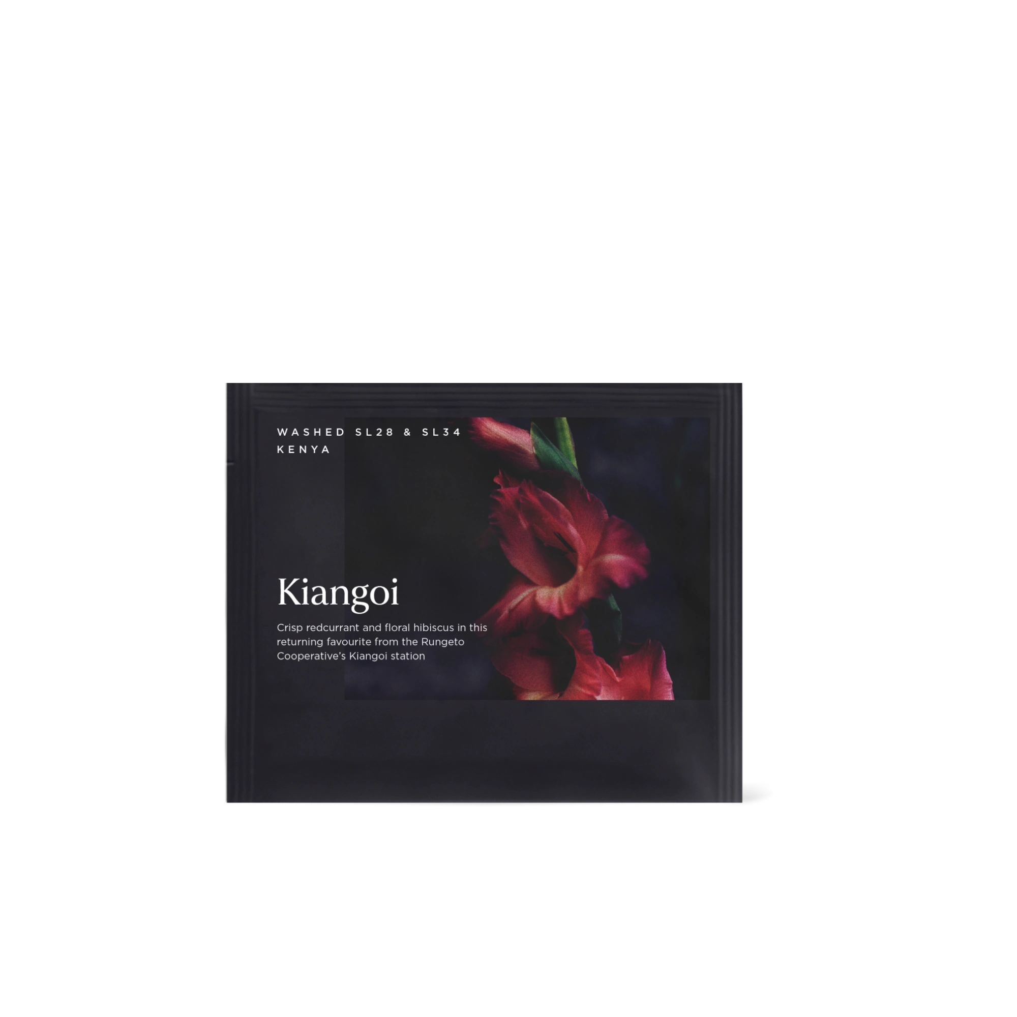 Kiangoi - Steeped