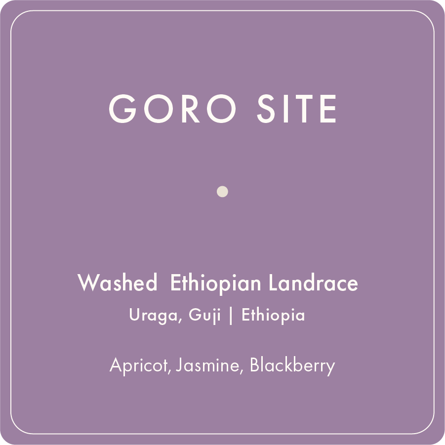 Goro Site