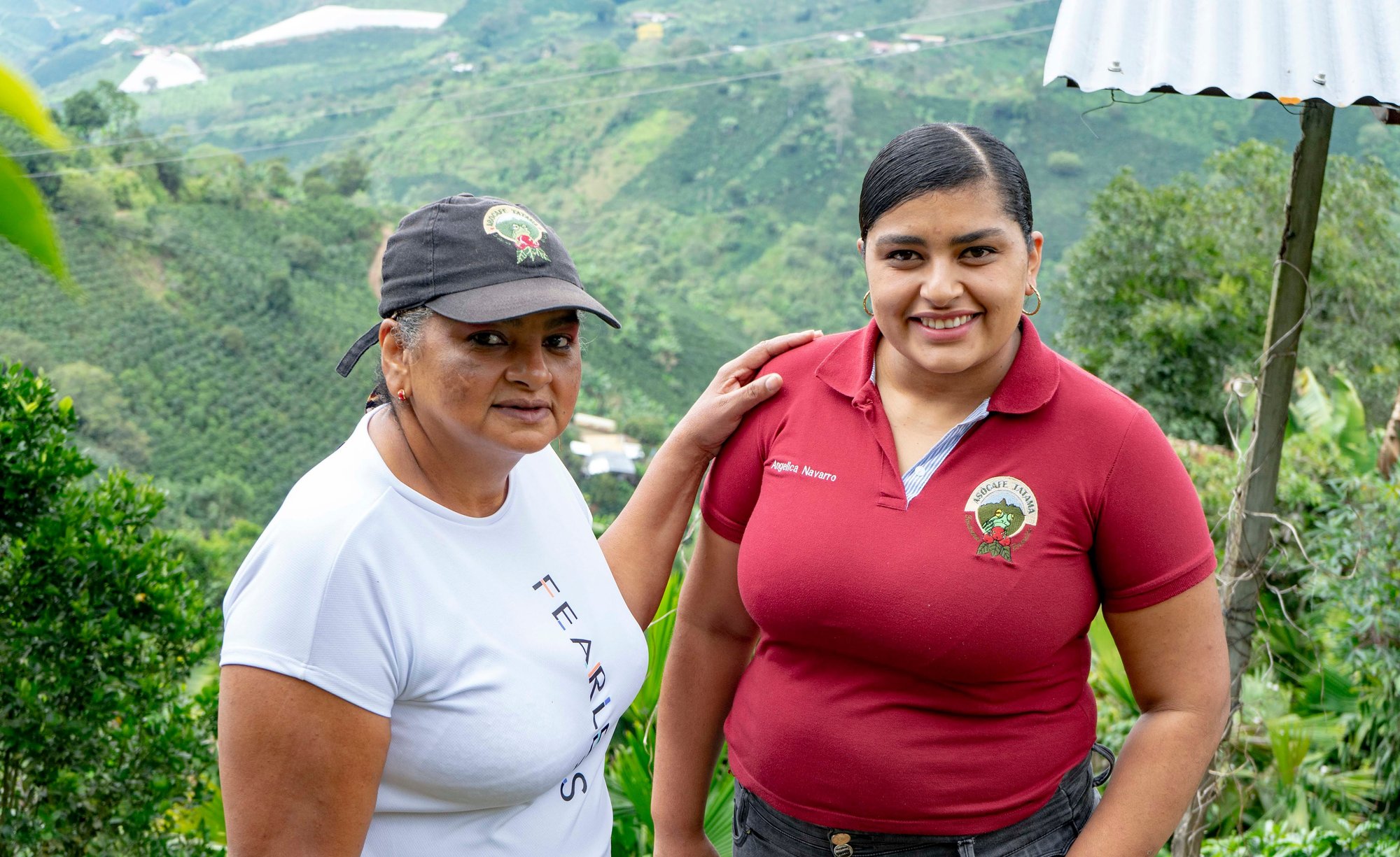 Colombia IMH Risaralda Decaf GREEN