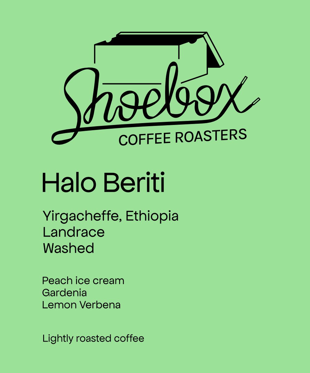 Ethiopia Halo Beriti Washed