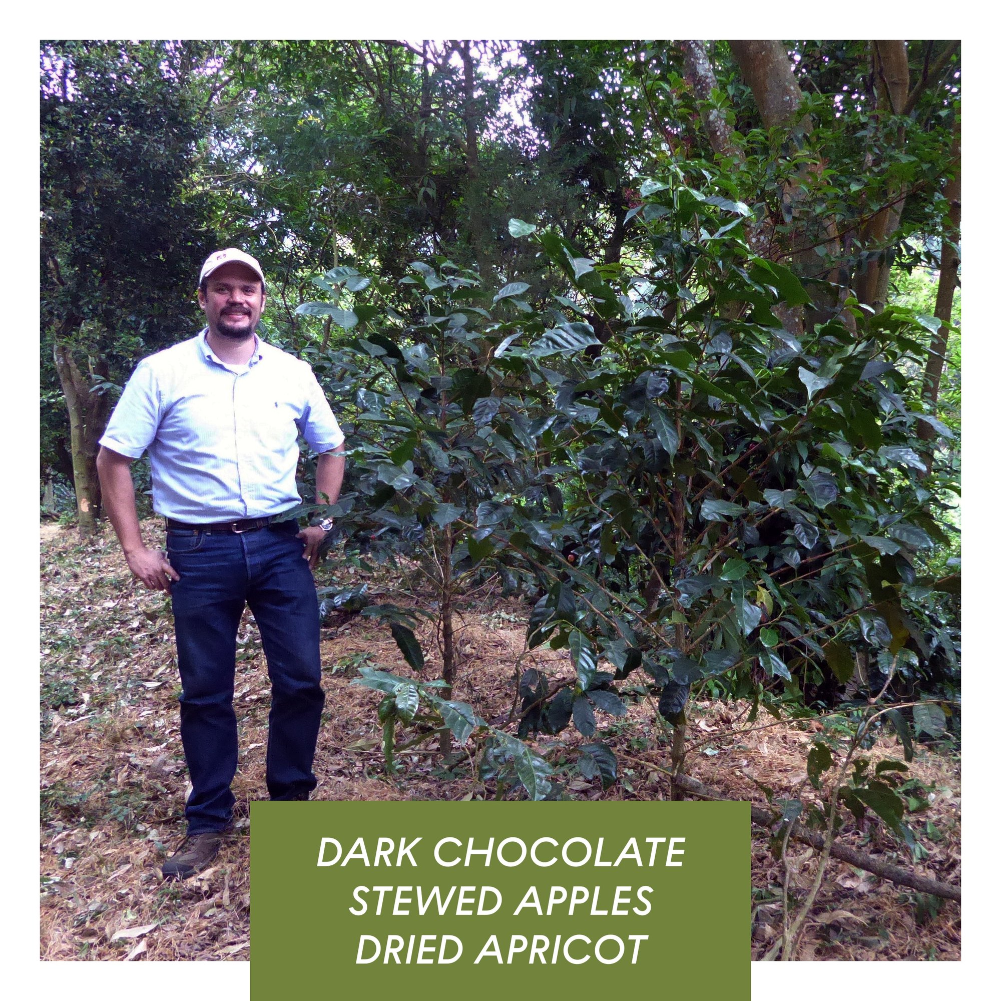 Los Andes Anaerobic Natural Bourbon El Salvador
