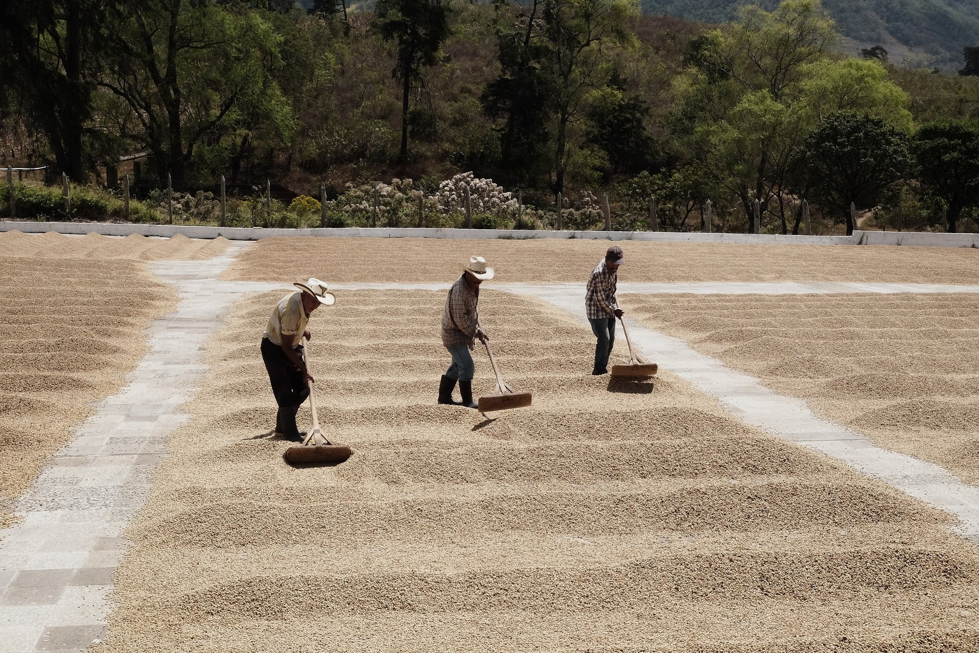 Vanessa Braun Valle - Finca Concepción