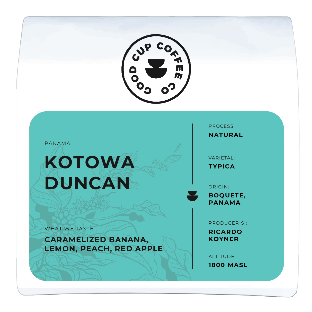 Panama Kotowa Duncan Typica Natural