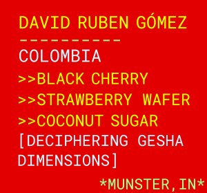 David Ruben Gómez
