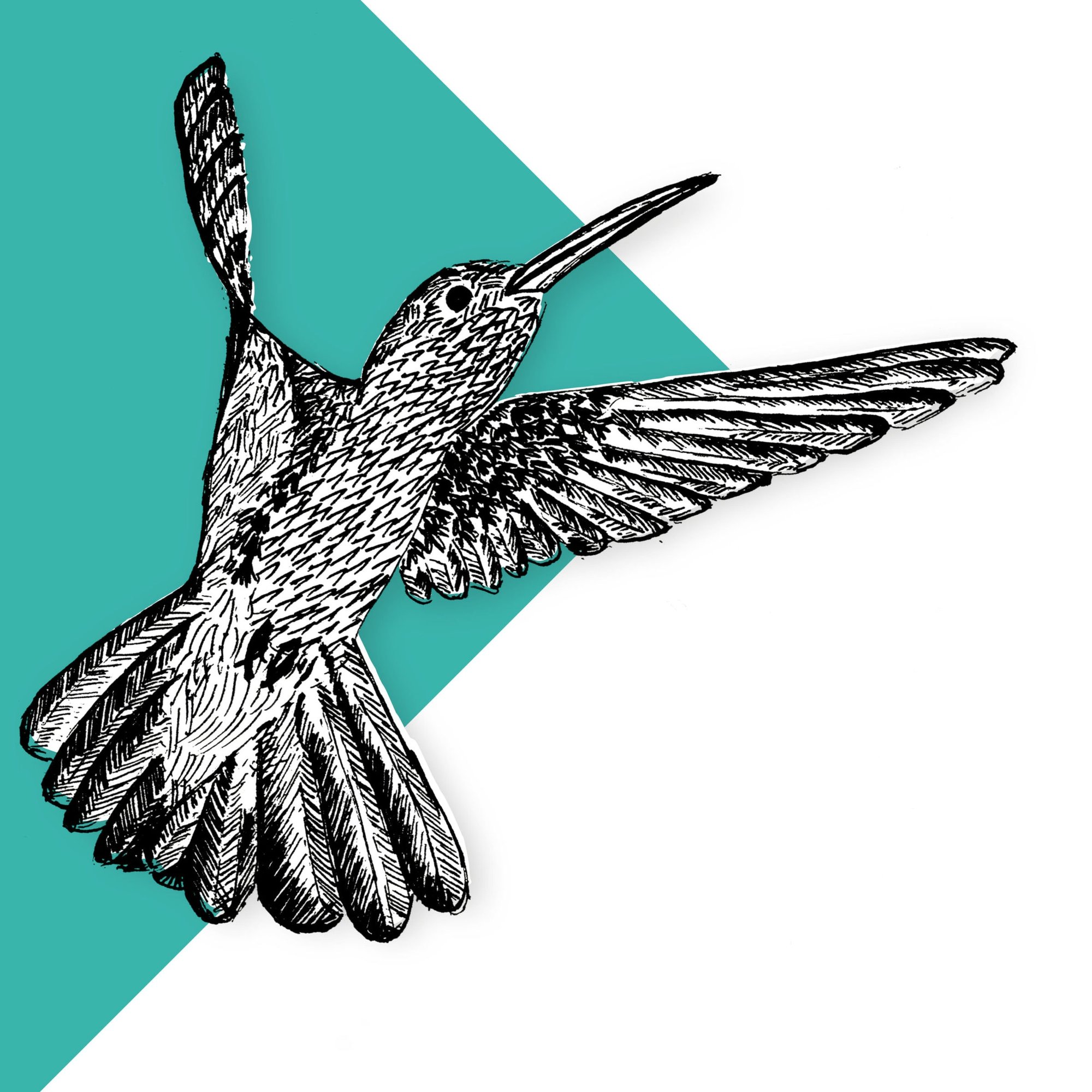 Hummingbird