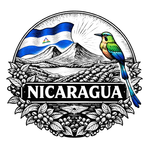 Nicaragua, Finca Buenos Aires, Maracaturra Natural