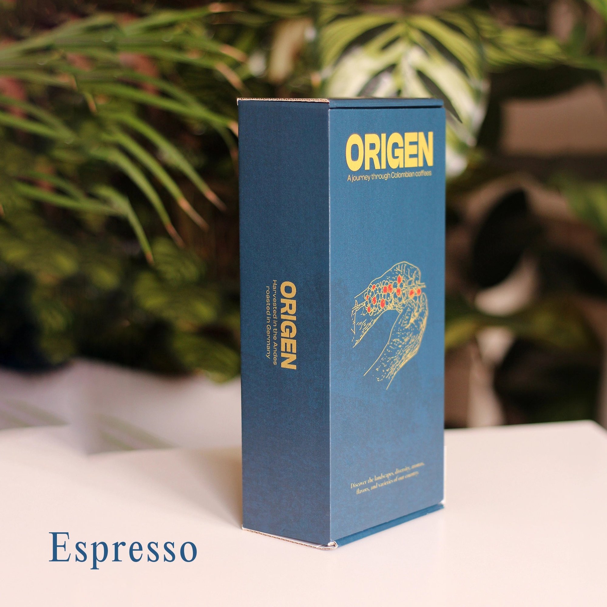 Origen Coffee Box (Espresso)