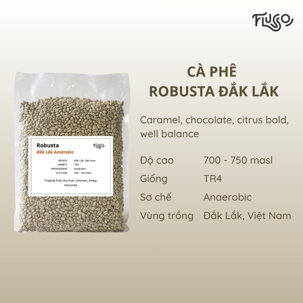 Robusta Đắk Lắk Anaerobic (Green)