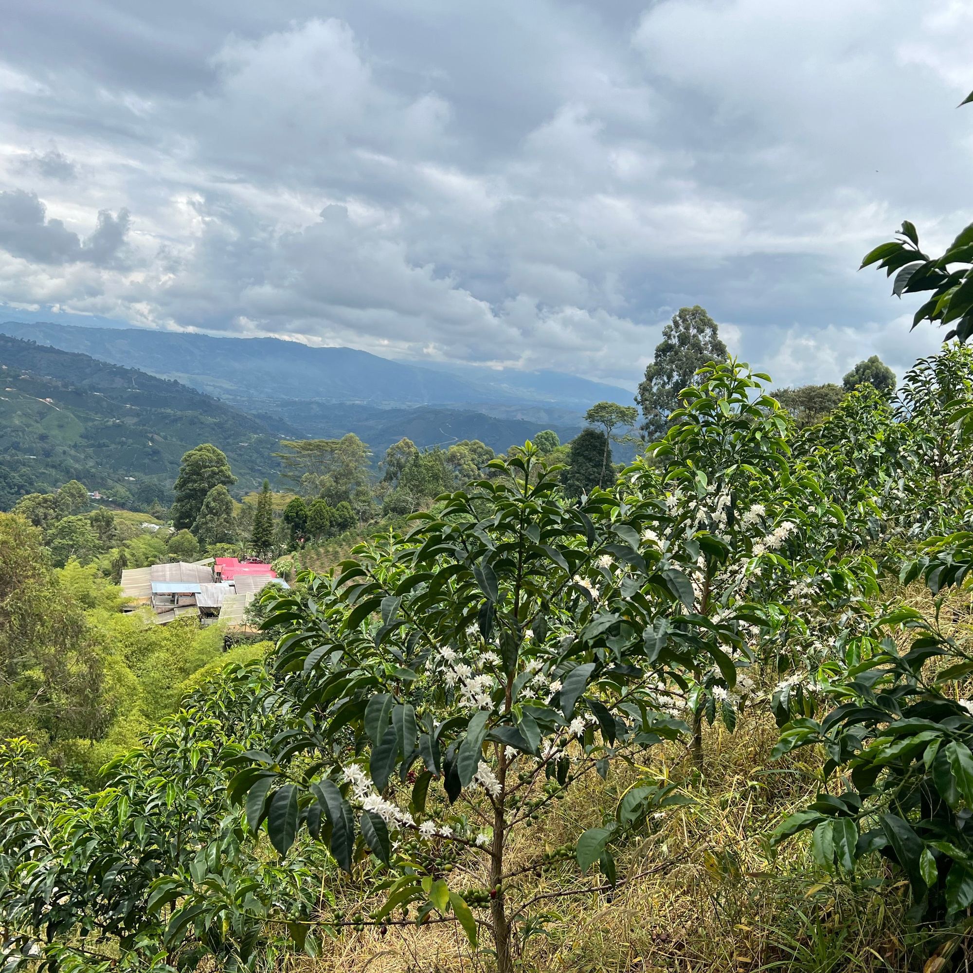 Colombia El Diviso Ombligon Natural