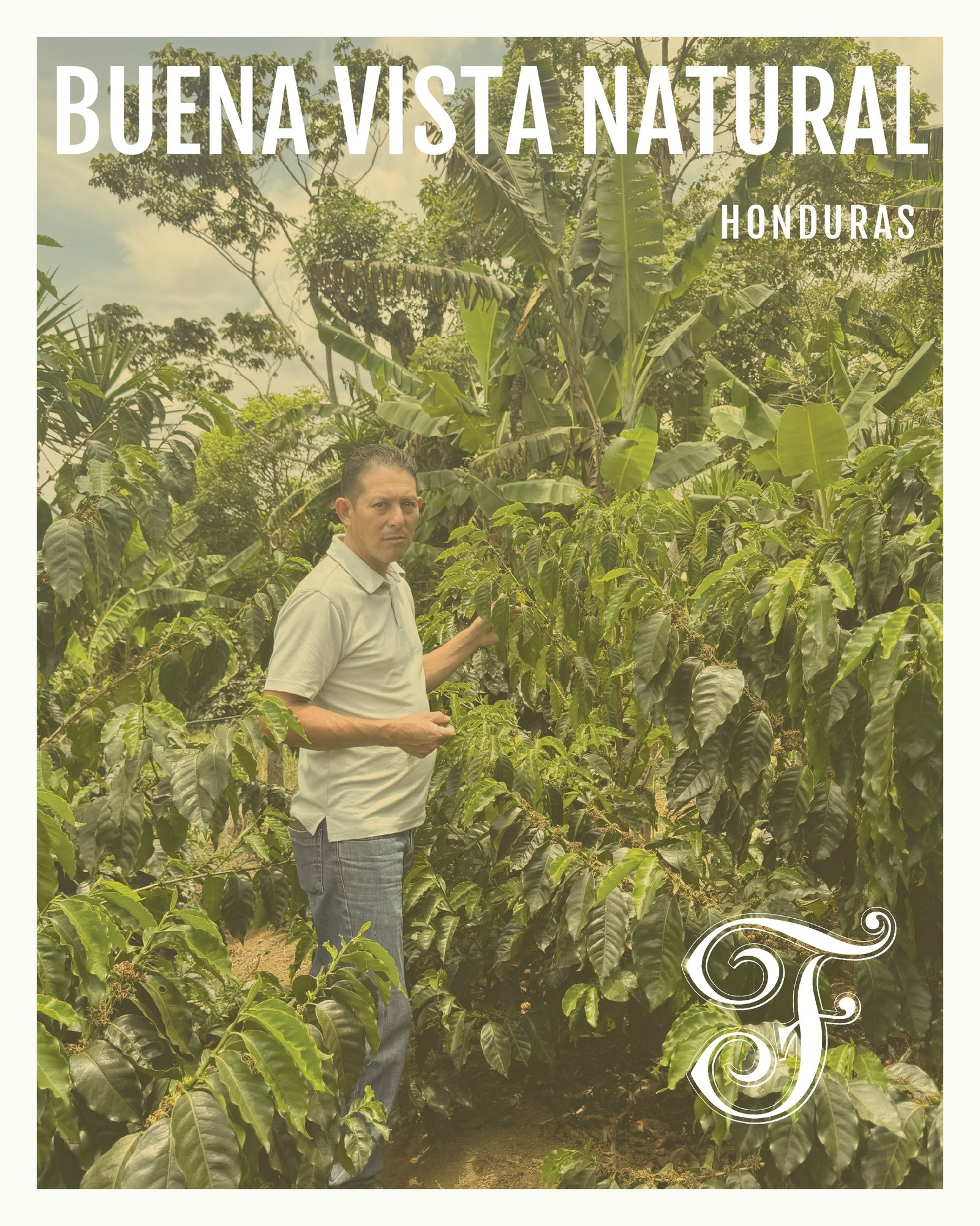 Honduras Buena Vista Natural Espresso