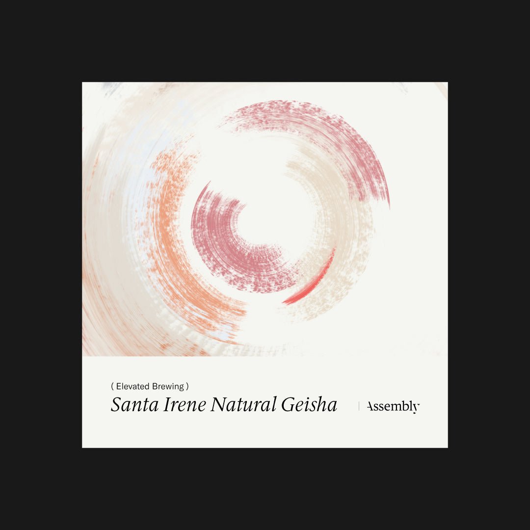 Elevated Brewing : Guatemala - Santa Irene Natural Geisha - Taste Card