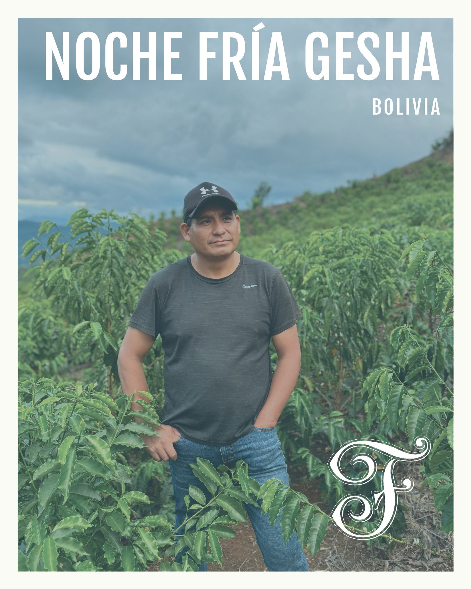 Bolivia Noche Fría Gesha