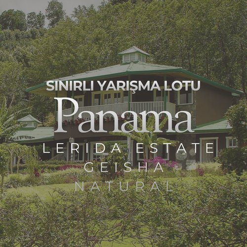 Panama Finca Lerida Geisha