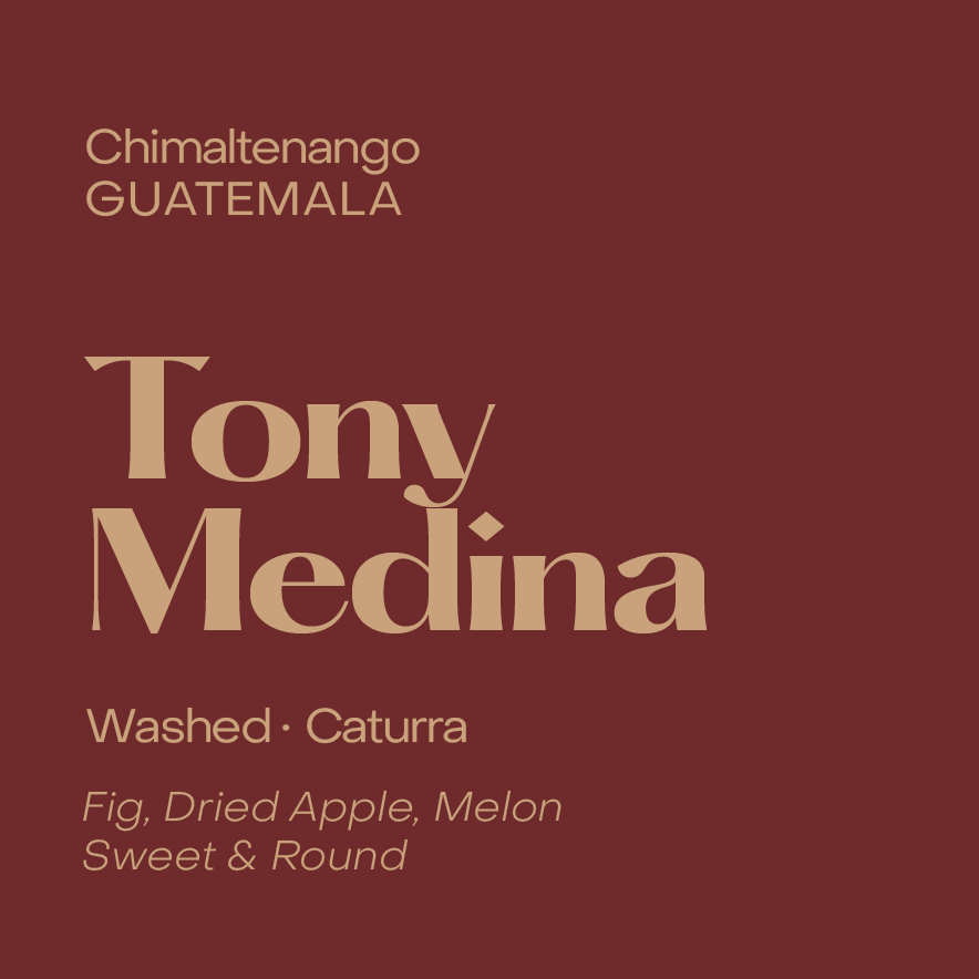 Tony Medina Espresso, Guatemalan Washed Caturra