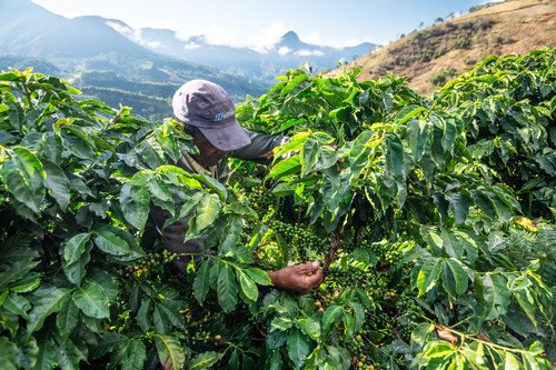 Brazil Caparao