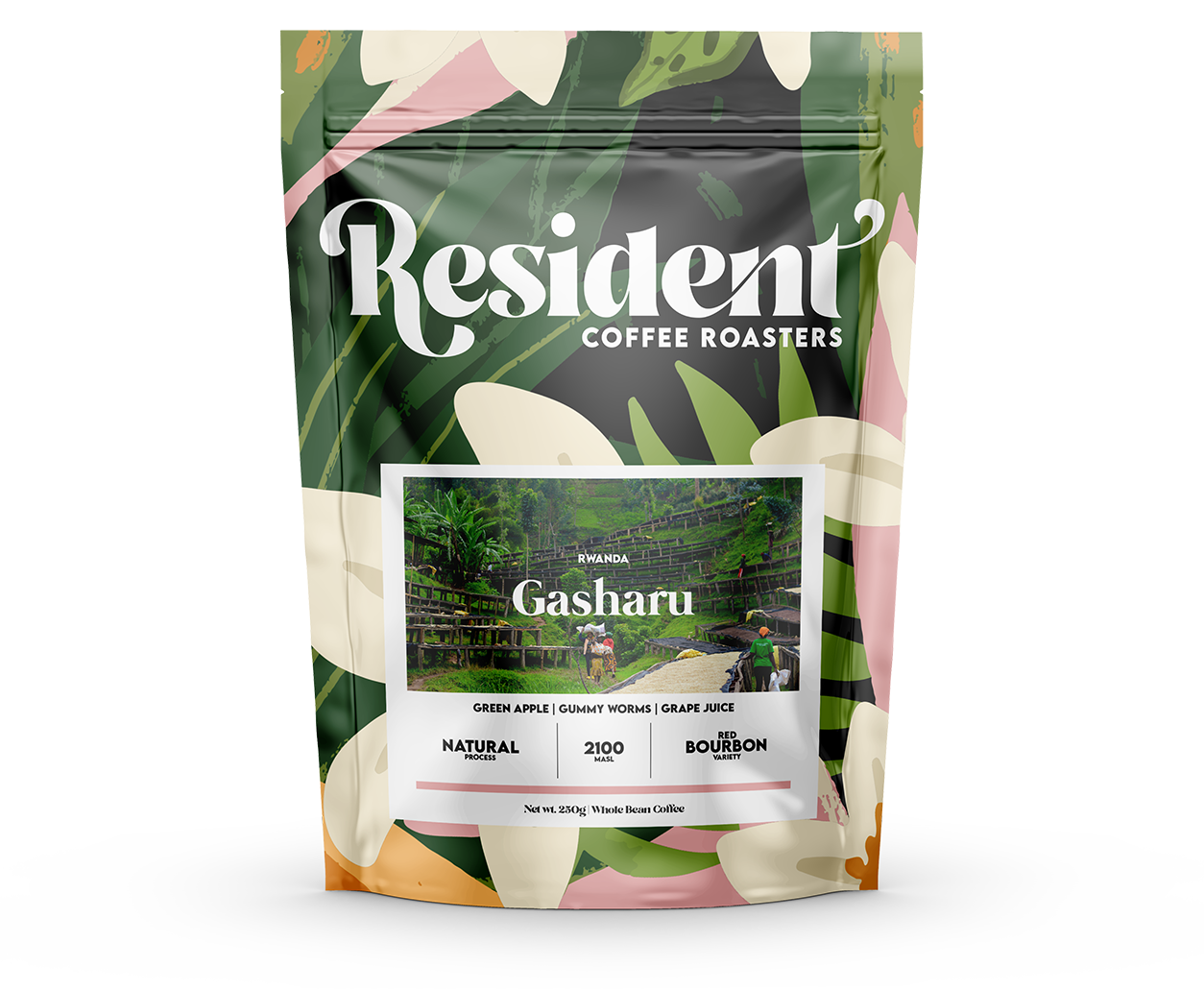 Rwanda Gasharu