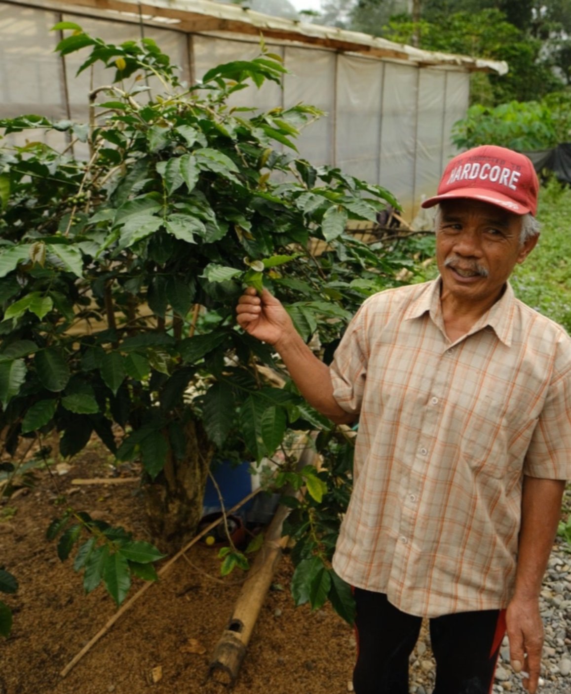 Indonesia Topidi Sulawesi Espresso