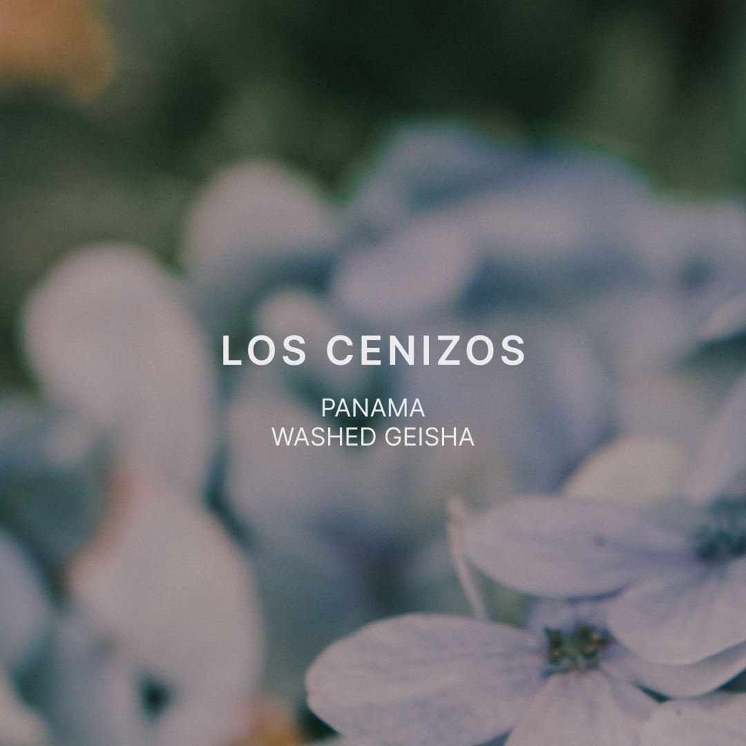 LOS CENIZOS