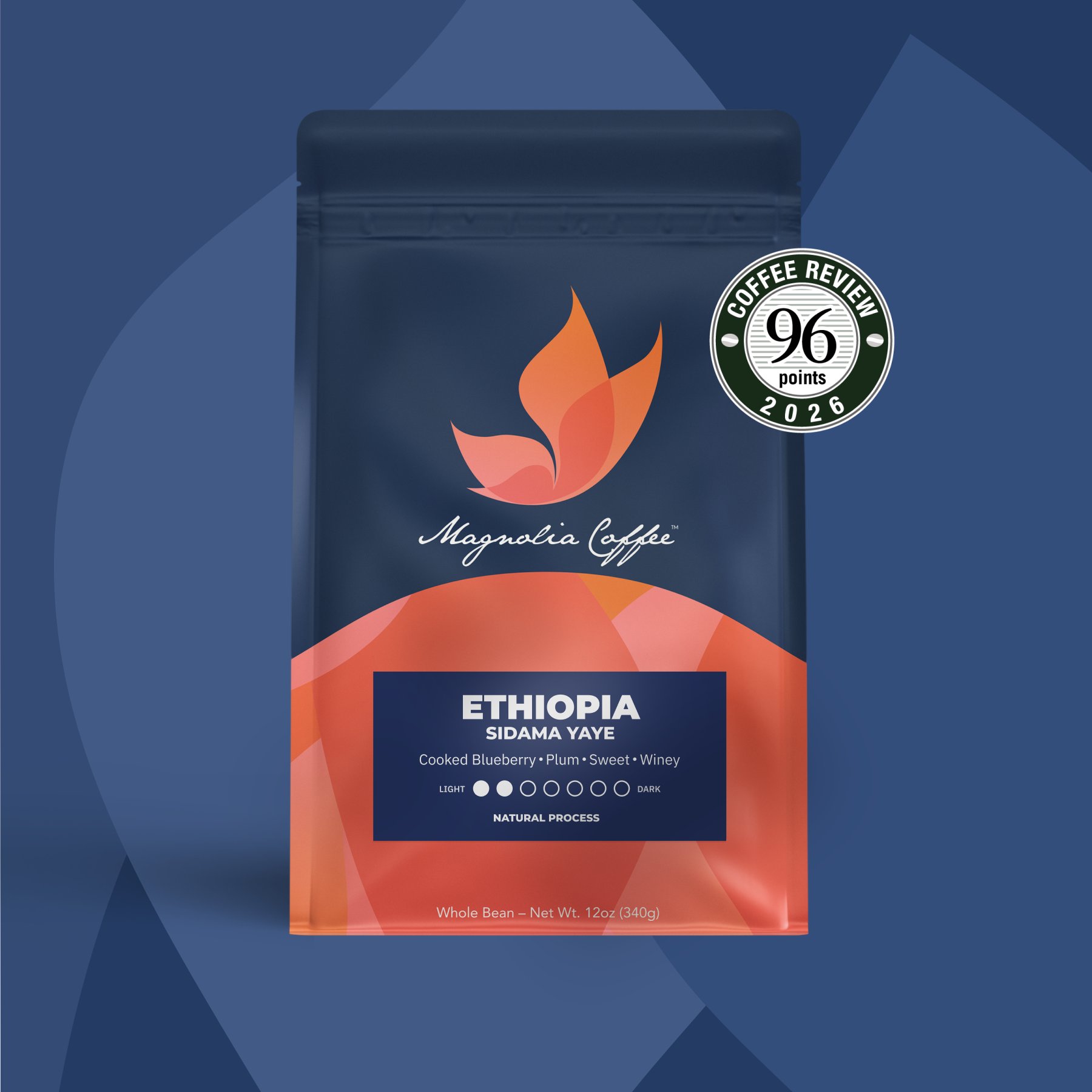 Ethiopia Sidama Yaye Natural - Special Project