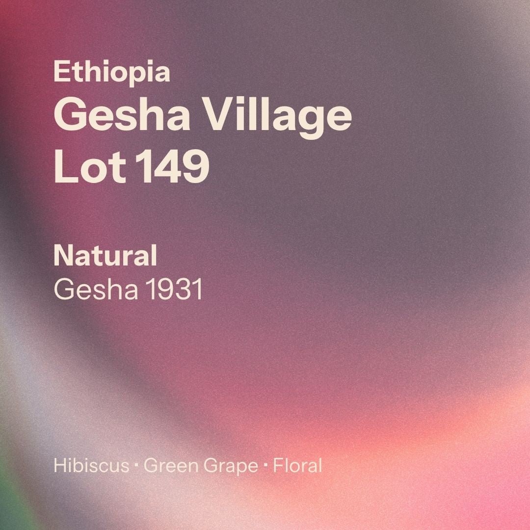 Gesha Village - Lot 149 - Natural Gesha 1931 (Ethiopia)