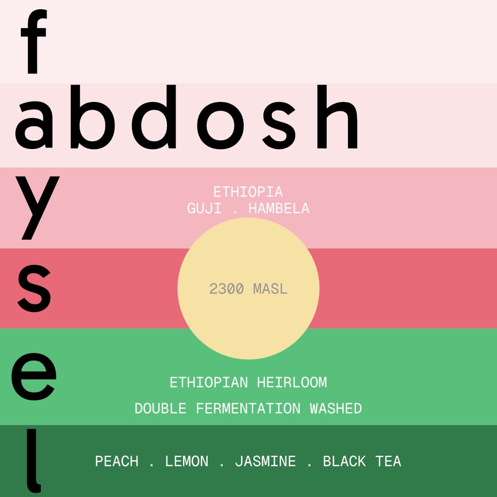 faysel abdosh